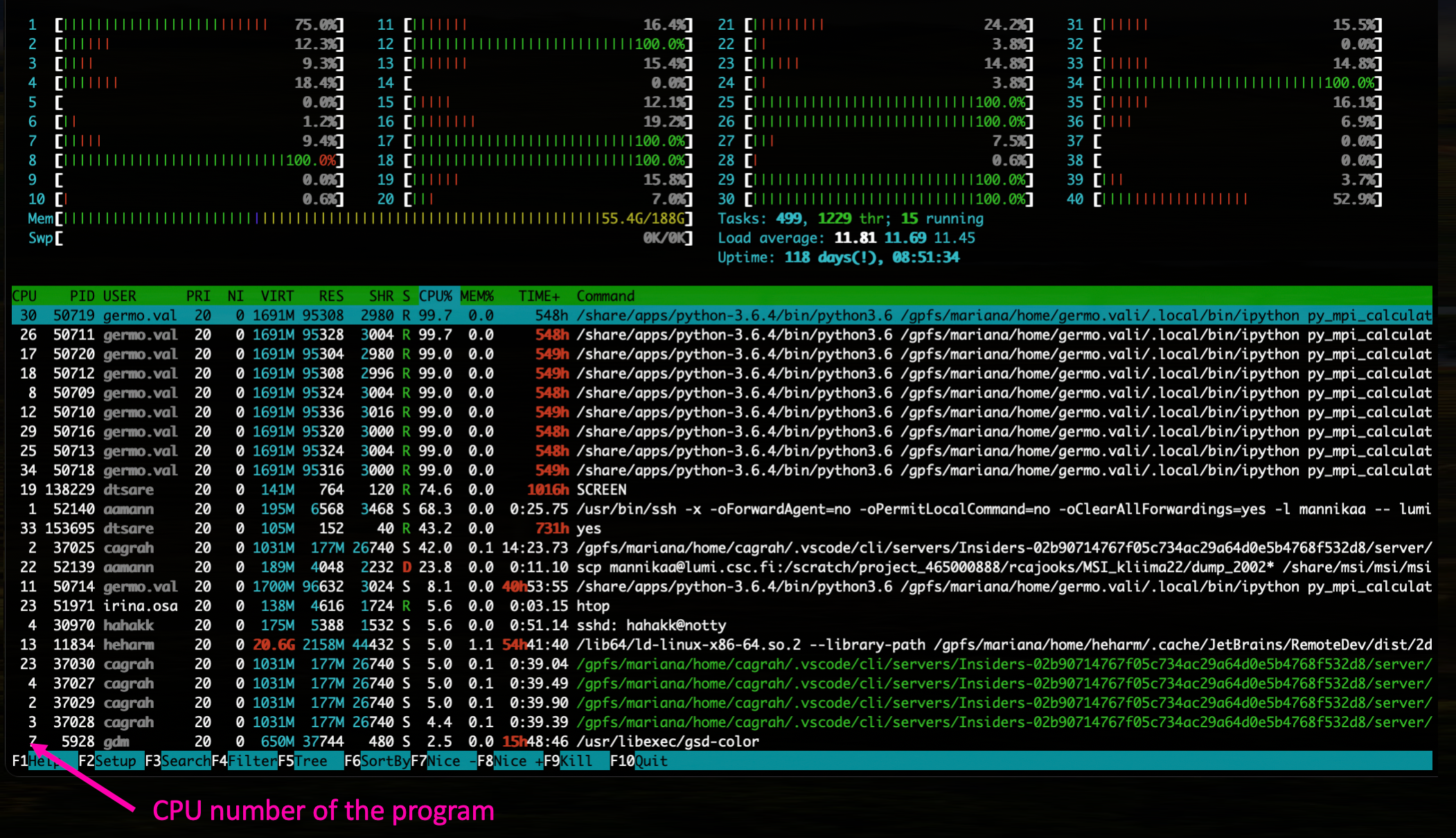 htop-2