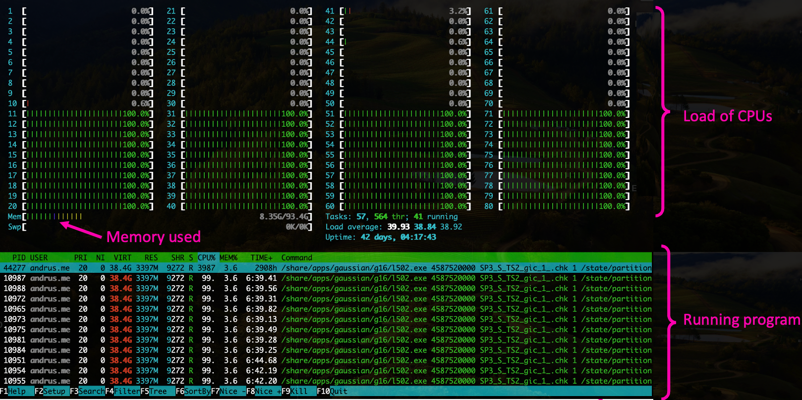 htop